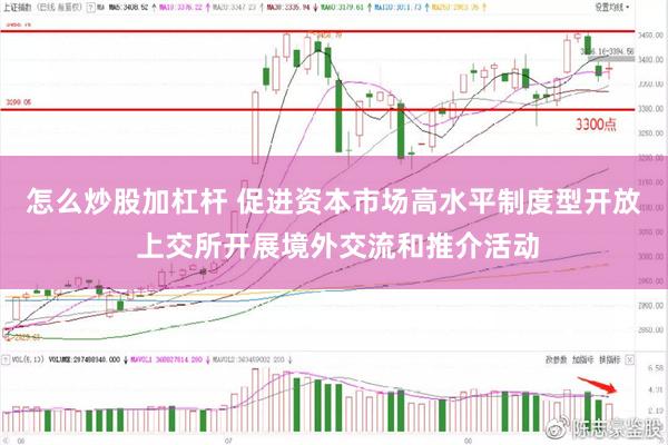 怎么炒股加杠杆 促进资本市场高水平制度型开放 上交所开展境外交流和推介活动