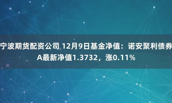 宁波期货配资公司 12月9日基金净值：诺安聚利债券A最新净值1.3732，涨0.11%