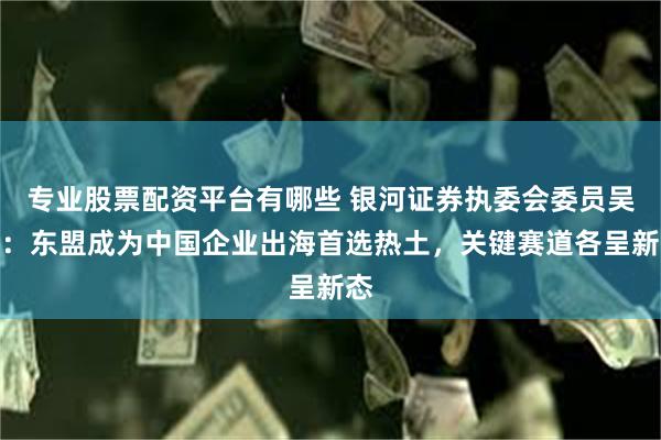 专业股票配资平台有哪些 银河证券执委会委员吴鹏：东盟成为中国企业出海首选热土，关键赛道各呈新态