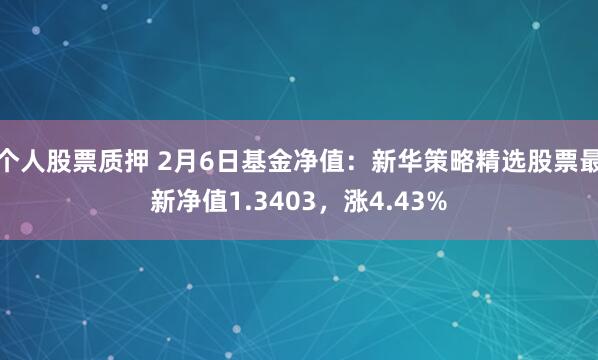 个人股票质押 2月6日基金净值：新华策略精选股票最新净值1.3403，涨4.43%