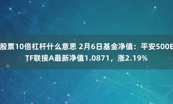 股票10倍杠杆什么意思 2月6日基金净值：平安500ETF联接A最新净值1.0871，涨2.19%